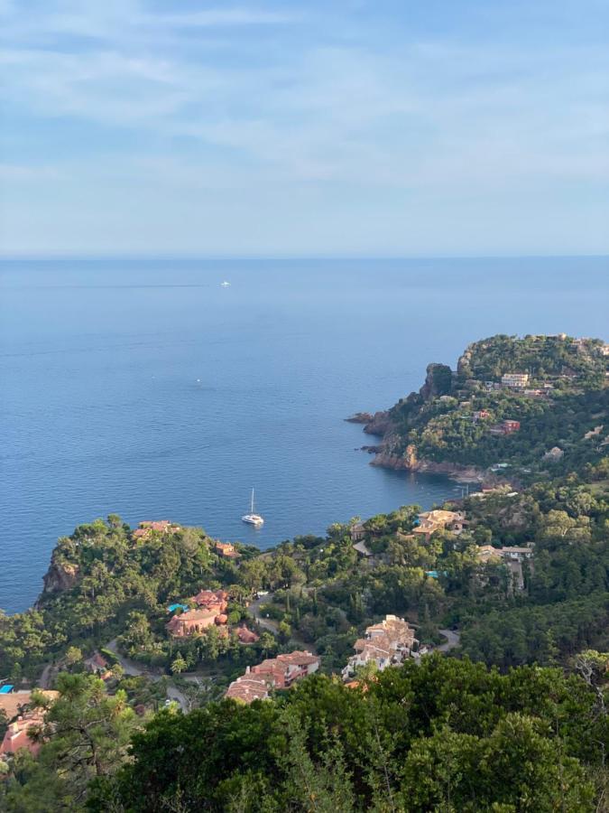 Appartements Vue Mer A 100 Metres Des Plages Et Massif De L'Esterel Theoule-sur-Mer Exterior photo